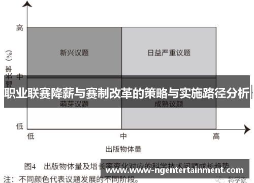 职业联赛降薪与赛制改革的策略与实施路径分析